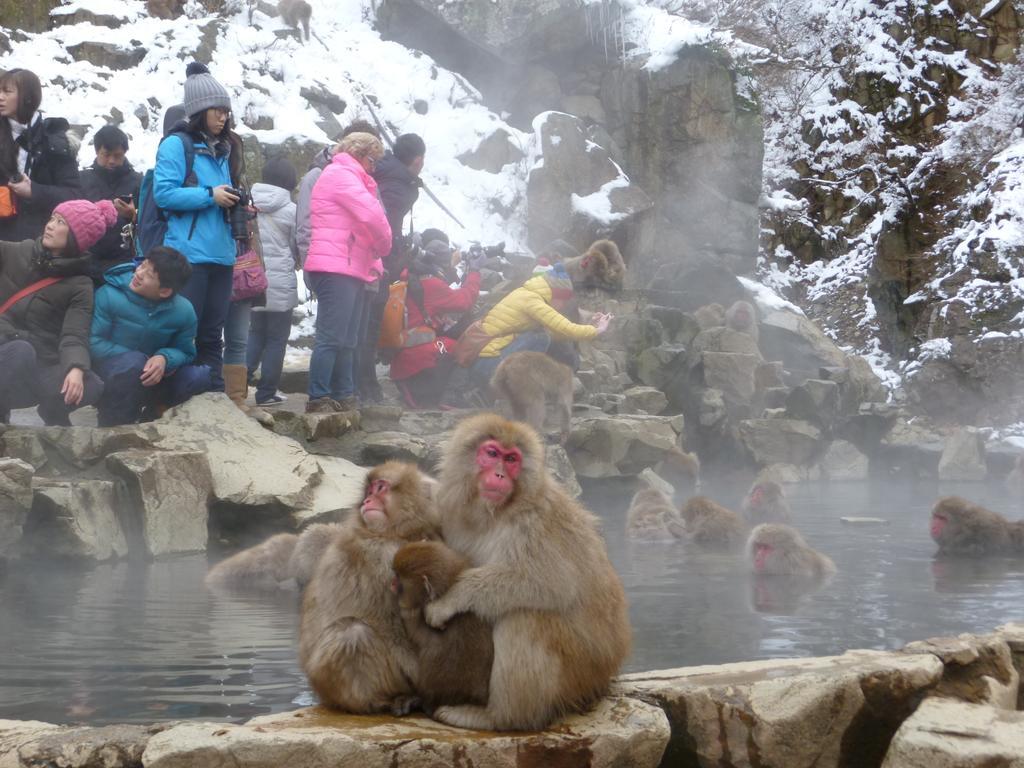 Akakura Yours Inn Myoko Εξωτερικό φωτογραφία